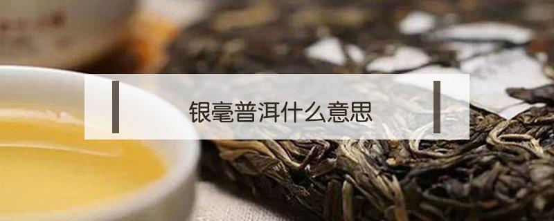 银毫普洱什么意思（普洱茶茶毫是什么）