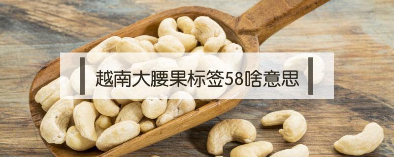 越南大腰果标签58啥意思 越南进口腰果68是什么意思