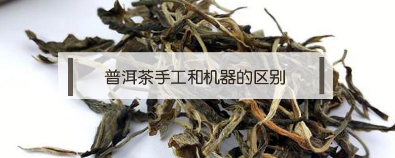 普洱茶手工和机器的区别（普洱茶手工制作与机器）