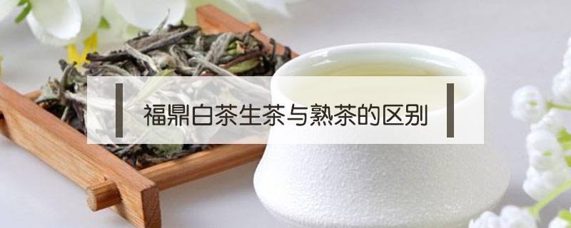 福鼎白茶生茶与熟茶的区别（福鼎白茶是熟茶吗）