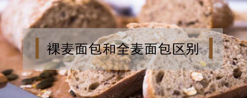 裸麦面包和全麦面包区别（全麦和裸麦面包的区别）