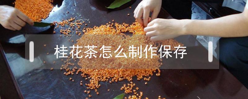 桂花茶怎么制作保存（桂花怎样保存泡茶）