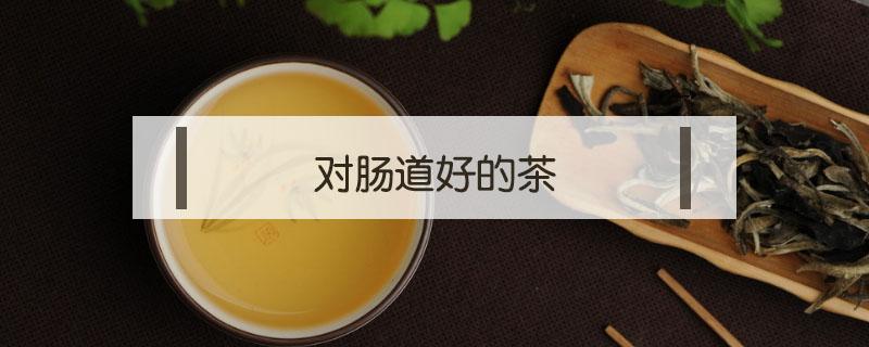 对肠道好的茶