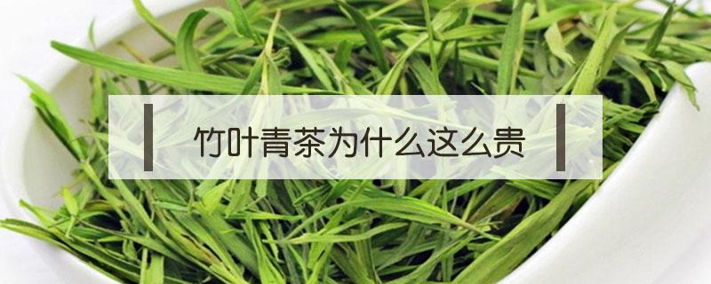 竹叶青茶为什么这么贵（竹叶青茶为什么这么贵?）