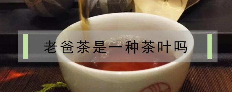 老爸茶是一种茶叶吗（老爸茶是什么茶叶）