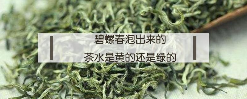 碧螺春泡出来的茶水是黄的还是绿的（碧螺春冲泡出来是什么颜色）