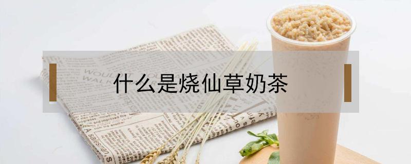 什么是烧仙草奶茶 烧仙草奶茶代表什么