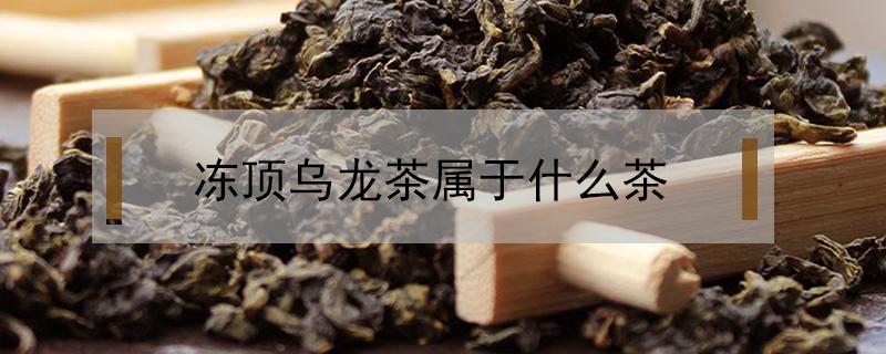 冻顶乌龙茶属于什么茶 冻顶乌龙是什么茶类