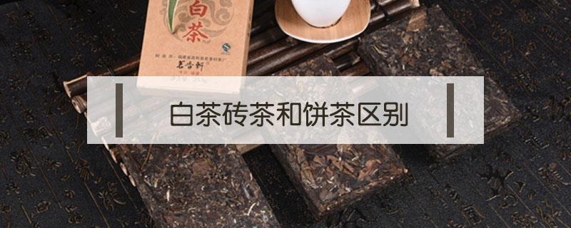 白茶砖茶和饼茶区别（普洱茶砖茶和饼茶的区别）