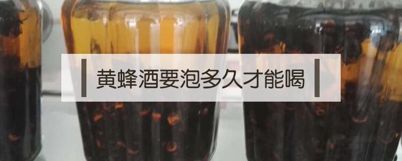 黄蜂酒要泡多久才能喝（黄蜂泡酒多久就不要黄蜂）