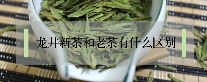 龙井新茶和老茶有什么区别 龙井新茶和旧茶的区别