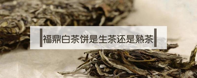 福鼎白茶饼是生茶还是熟茶 福鼎白茶有生熟之分吗?