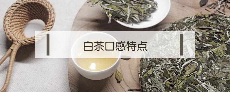 白茶口感特点（福鼎白茶口感特点）