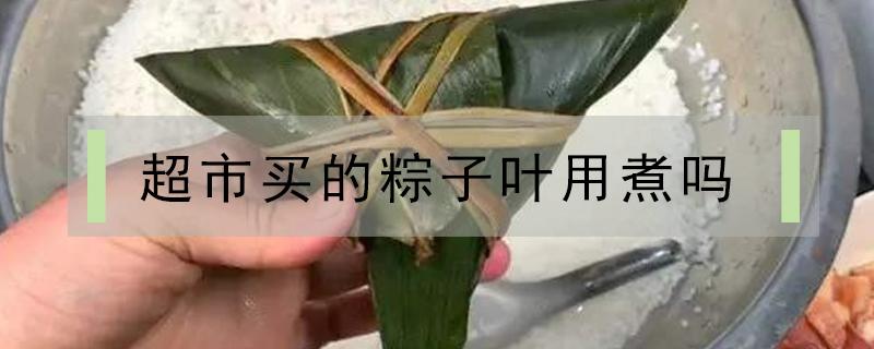 超市买的粽子叶用煮吗（新买的粽叶用不用煮）