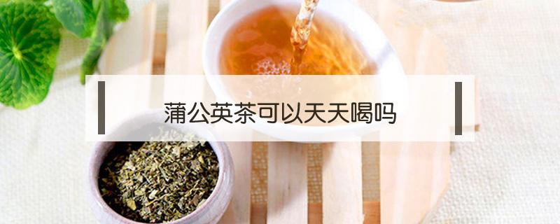 蒲公英茶可以天天喝吗（小孩可以喝蒲公英茶可以天天喝吗）