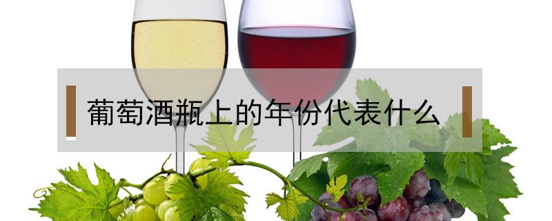 葡萄酒瓶上的年份代表什么（葡萄酒酒瓶上的年份）