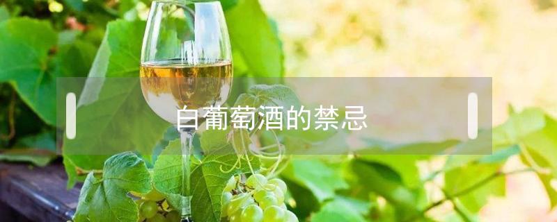 白葡萄酒的禁忌（葡萄酒有什么禁忌）