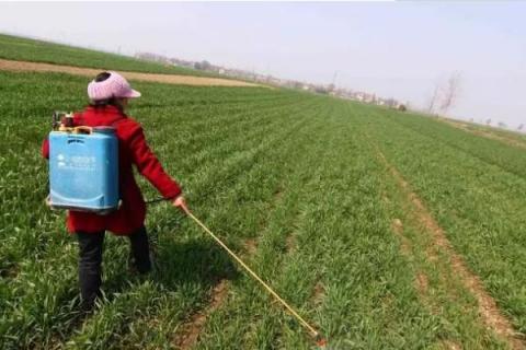 小麦田除草剂有哪些