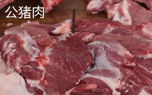 公猪肉和母猪肉的区别