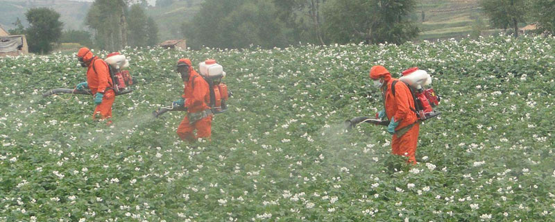 一桶农药加入多少红糖好（一桶农药加入多少红糖好呢）