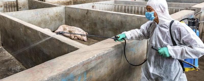 猪场烧碱消毒使用方法，用什么工具 猪场烧碱消毒使用方法,用什么工具最好
