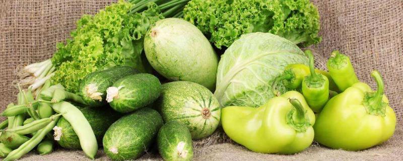 绿色蔬菜有哪些 绿色蔬菜有哪些品种