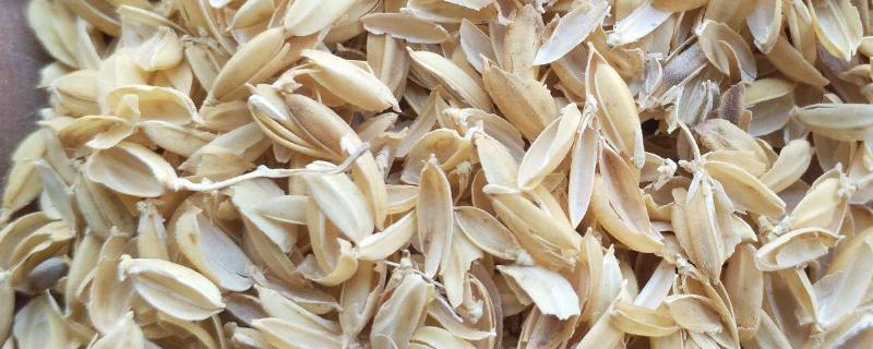 稻壳能做什么东西，稻壳的营养成分（稻壳的用途）