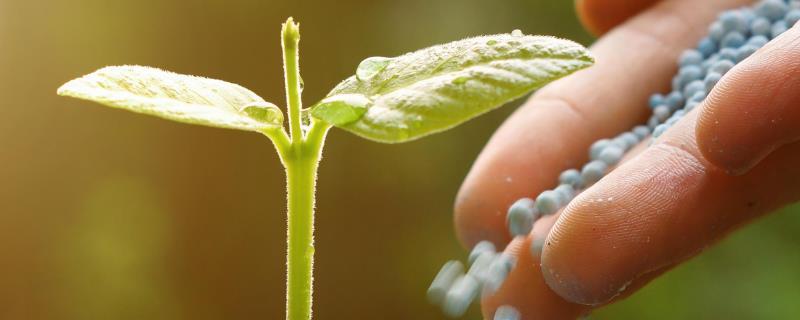 复合肥执行标准，复合肥的使用方法