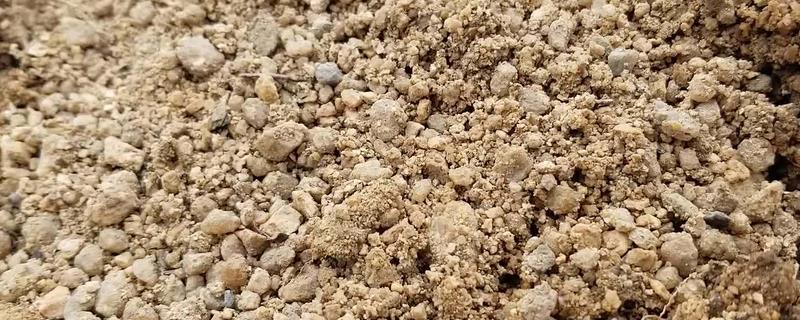 沙土的特点，适合种植什么作物 沙土的特点,适合种植什么作物呢