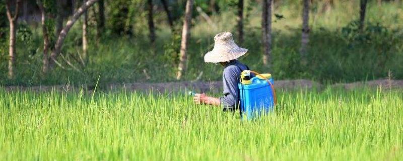 氟氯氰菊酯对人的危害，附使用说明 氟氯氰菊酯能毒死人吗