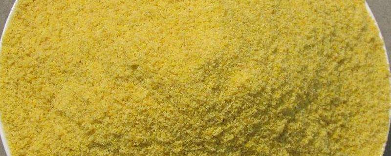 膨化玉米粉和玉米粉区别 膨化玉米粉和玉米粉哪个好