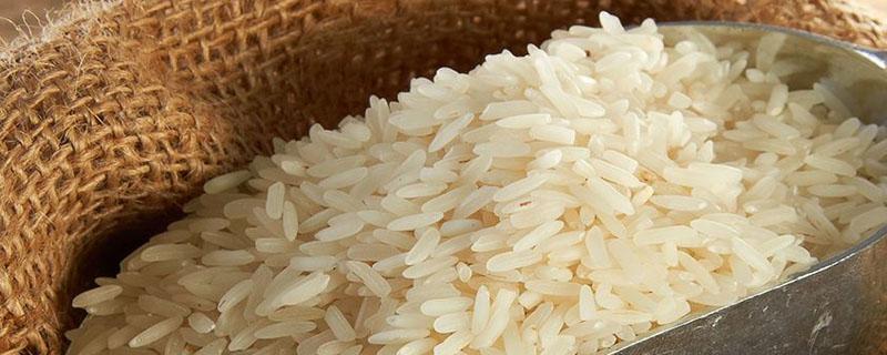 东北大米是水稻还是旱稻（旱稻是大米吗）