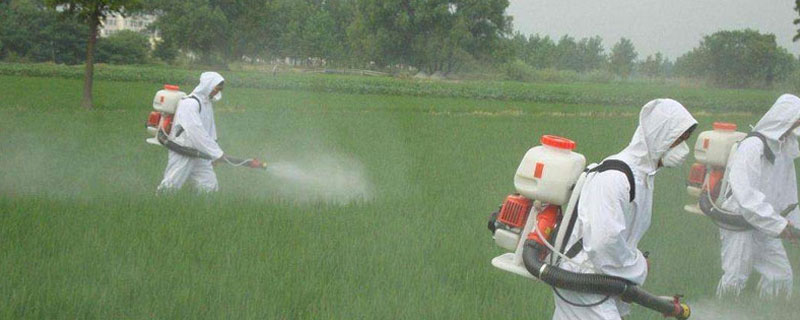 游草用什么除草剂 空心水游草用什么除草剂