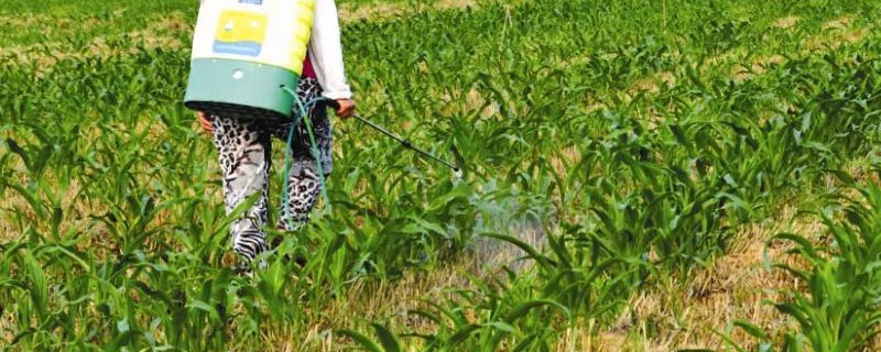 最低零下几度不能打除草剂（零度可以打除草剂吗）