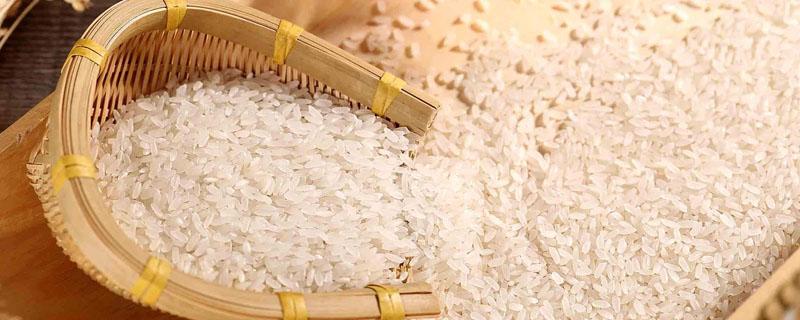 籼米和粳米哪个贵（粳米和籼米哪个贵一些?）