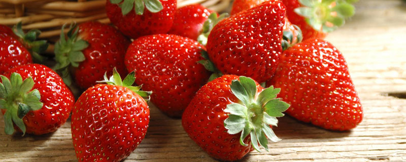 草莓生长周期 草莓生长周期多少时间