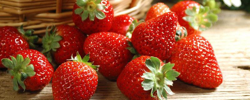 草莓没熟怎么催熟 怎么看草莓是不是催熟