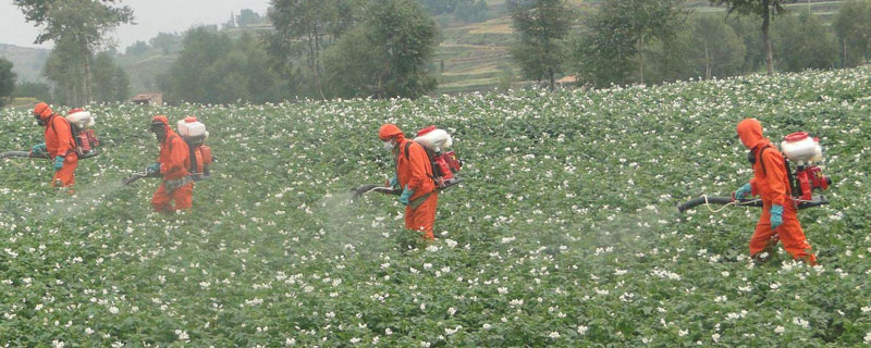 限制农药有哪些