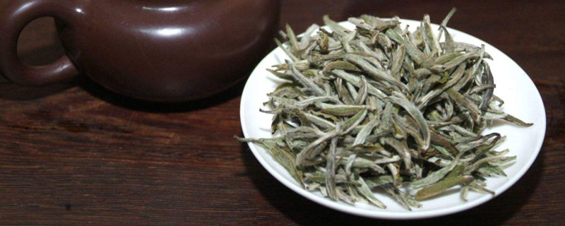 白茶和绿茶区别 植物医生白茶和绿茶区别
