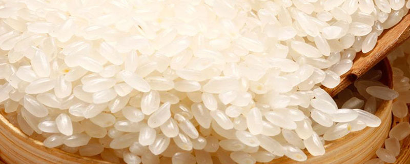 什么是粳米（什么是粳米是不是大米）