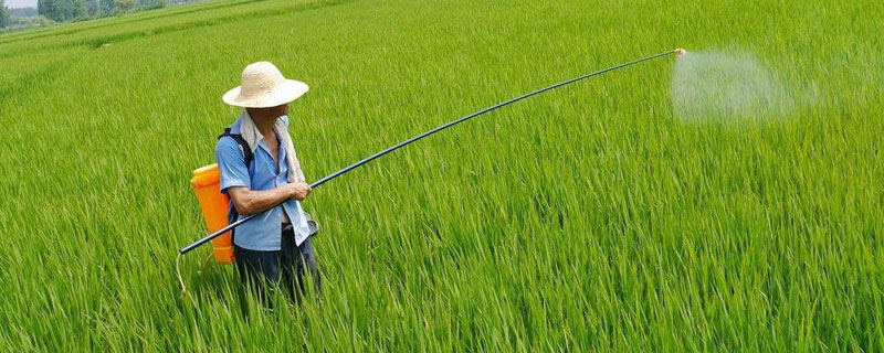 有机磷农药中毒瞳孔变化 有机磷农药中毒瞳孔变化是