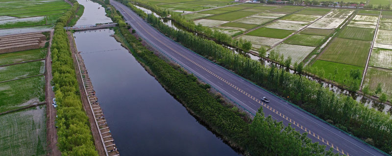 水稻孕穗期可以打灭草松吗（水稻分蘖期能打灭草松吗）