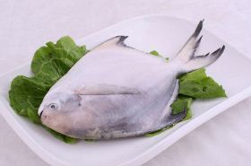 鲳鱼（鲳鱼多少钱一斤市场价2022）