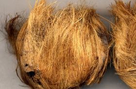棕榈皮的功效与作用,棕榈皮是什么,棕榈皮的功效