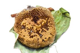 蜂房 蜂房的用法与用量