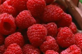 茅莓的功效与作用,茅莓是什么,茅莓的功效