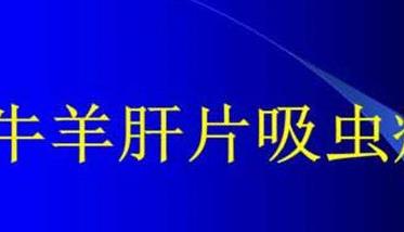 羊肝片吸虫病的临床症状