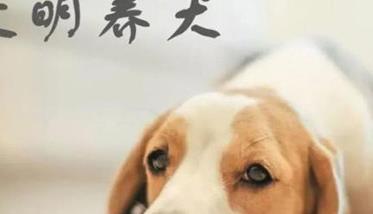 搞好犬体卫生