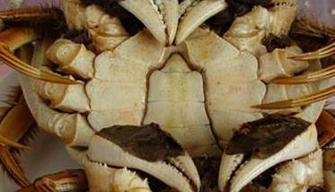 螃蟹公母怎么分 螃蟹公母怎么分辨图片对比图