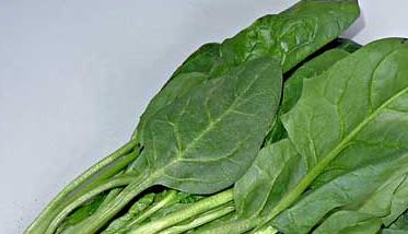 菠菜的营养价值及其保健作用 菠菜的营养价值与作用